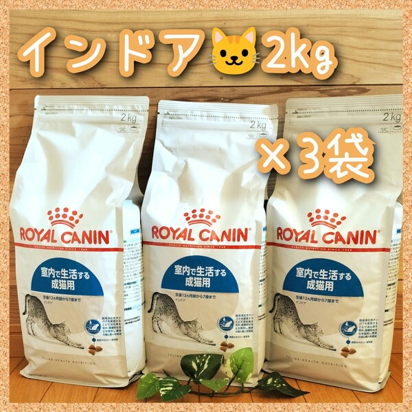 ロイヤルカナン インドア 室内で生活する成猫用~7歳まで 2kg×3袋