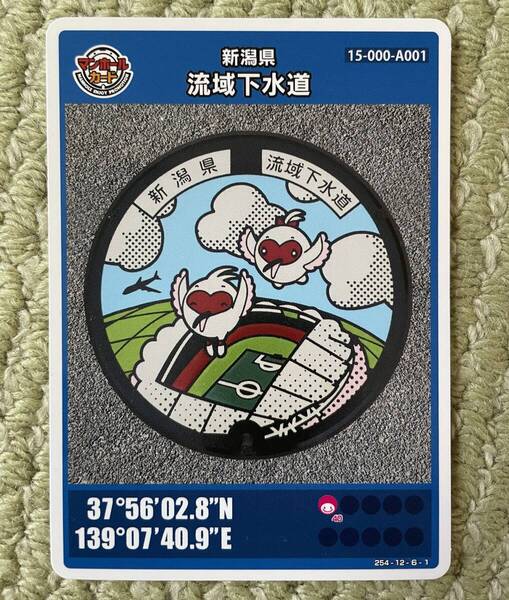 【送料0円】新潟県 流域下水道 A001 マンホールカード 007 トッキッキ ビッグスワン