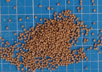  немедленная отправка еда . есть выдающийся gold peko. стоимость 1.2....pe let 500g