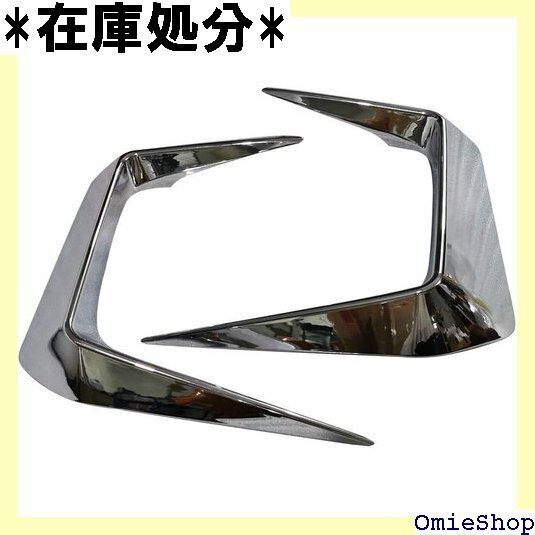 Onami トヨタ RAV4 フロント フォグランプ 0型 ABS製 2P 鏡面仕上メッキ RAV4-38-S 2001