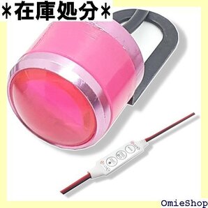 MiHaruTsu ホタルランプ 蛍ランプ LEDホタルランプ キット 旧車 走り屋 ピンク 2527
