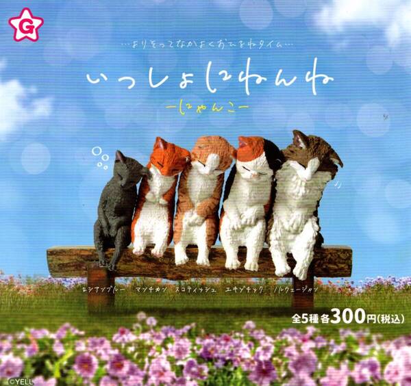 ★★★【送料込み】即決!いっしょにねんね にゃんこ 全5種 猫/ねこ/ネコ/ロシアンブルー/マンチカン/スコティッシュ/エキゾチック/ガチャ★