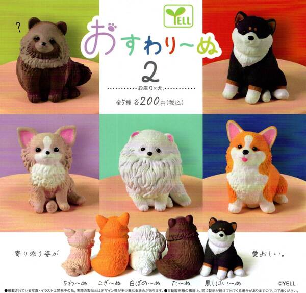 ★★★【送料込み】即決!おすわり~ぬ2 全5種 おすわりーぬ2/お座り×犬/チワワ/コギー/ポメラニアン/黒柴/タヌキ?/イヌ/いぬ/カプセルトイ