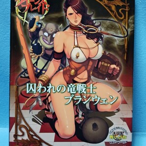 クイーンズブレイド リベリオン 囚われの竜戦士 ブランウェン /対戦型ビジュアルブック/ゲーム/イラスト/画集/ロストワールド/織田non