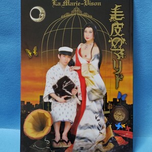 【送料込・即決】毛皮のマリー 2016年舞台パンフレット 美輪明宏/木村彰吾/若松武史/勧修寺保都/吉田大樹/見雪太亮/小早川俊輔/演劇/本