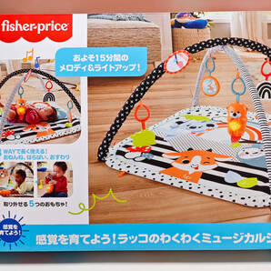 フィッシャープライス 感覚を育てよう! ラッコのわくわくミュージカルジム