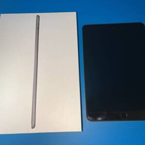 ★☆中古美品 iPad mini 第5世代 Wi-Fi+Cellular 256G SIMフリー☆★