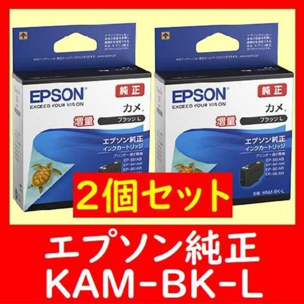 2個セット 純正 KAM-BK-L 増量タイプ カメ 推奨使用期限2年以上