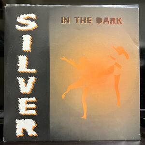 Silver / In The Dark【12inch】