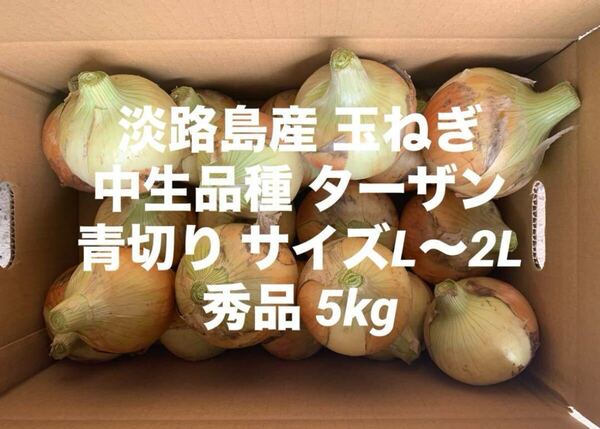 淡路島産 青切り 玉ねぎ 中生品種 ターザン L~2L 秀品 5kg 淡路 淡路島 南あわじ市