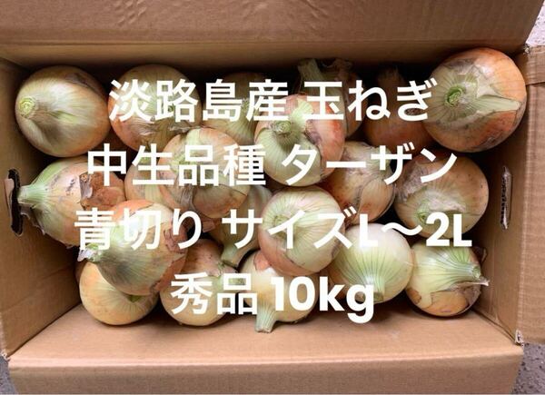 淡路島産 青切り 玉ねぎ 中生品種 ターザン L~2L 秀品 10kg 淡路 淡路島 南あわじ市