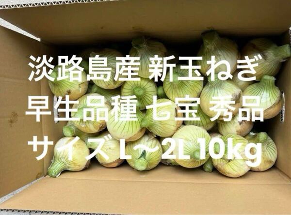 兵庫県 淡路島産 新玉ねぎ L~2L 秀品 10kg 早生品種 七宝 淡路 淡路島 南あわじ市