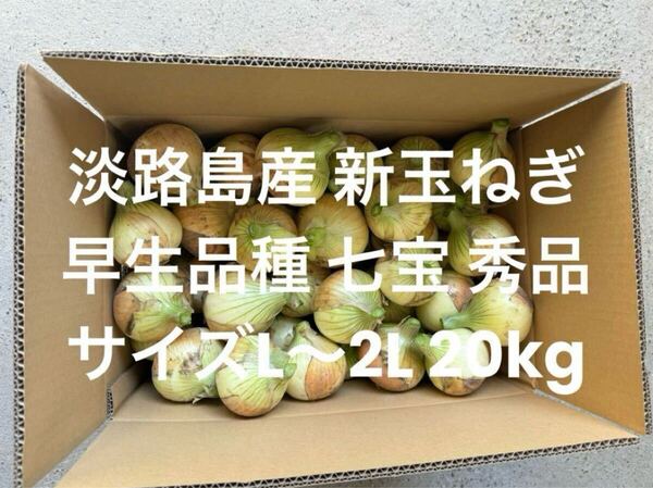 兵庫県 淡路島産 新玉ねぎ L~2L 秀品 20kg 早生品種 七宝 淡路 淡路島 南あわじ市