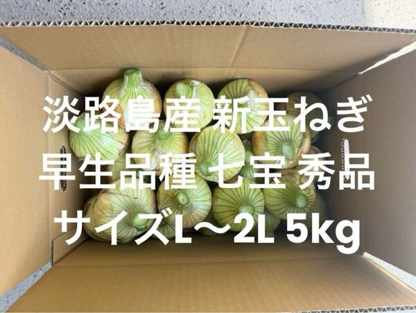 兵庫県 淡路島産 新玉ねぎ L~2L 秀品 5kg早生品種 七宝 淡路 淡路島 南あわじ市