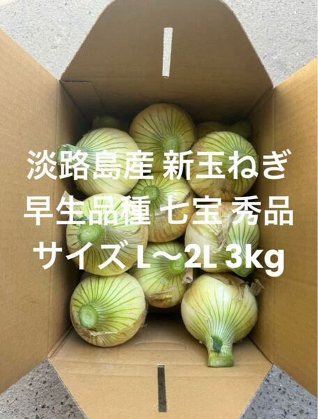 兵庫県 淡路島産 新玉ねぎ L~2L 秀品 3kg早生品種 七宝 淡路 淡路島 南あわじ市