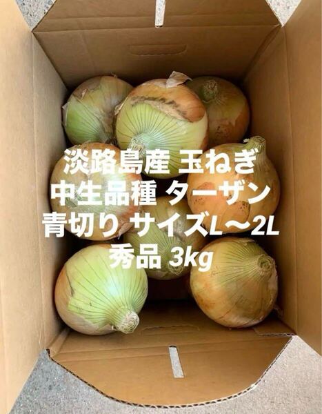淡路島産 青切り 玉ねぎ 中生品種 ターザン L~2L 秀品 3kg 淡路 淡路島 南あわじ市