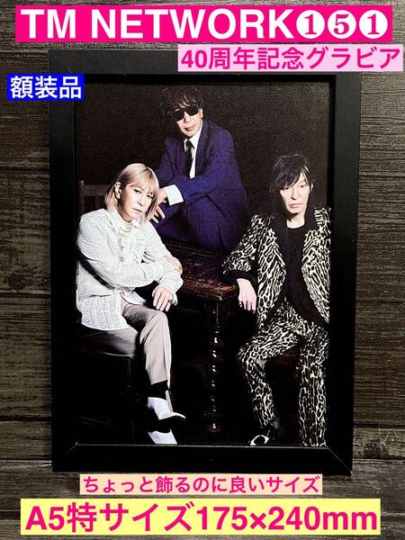 額装品★TM NETWORK/TMN①⑤①★40周年記念プロモーショングラビア★GET WILD★宇都宮隆★小室哲哉★木根尚登★当時印刷物★A5特サイズ額装