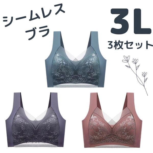 シームレスブラ ブラ 大きいサイズ ノンワイヤー ナイトブラ 3L 3枚 ブラジャー ゆったり レディース リラックス