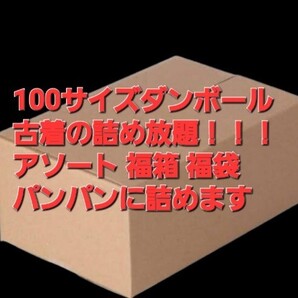100サイズのダンボールパンパンに詰めます!大量 福箱 レディース メルカリ フリマ 転売OK 卸 破格 格安 赤字覚悟 アソートBOX お買い得