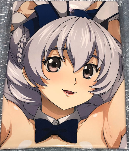 【正規品・未開封】フルメタル・パニック! テレサ・テスタロッサ 抱き枕カバー / 一本満足枕 YU-TA / SJ有 アクアヴェールv3【送料無料】