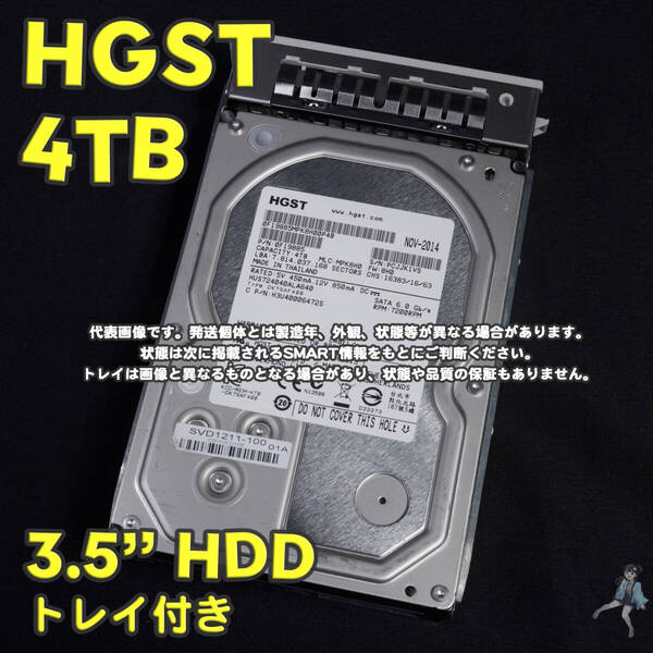 【HG4T-A5t】HGST 3.5インチHDD 4TB HUS724040ALA640 トレイ付き【動作中古品/送料込み】