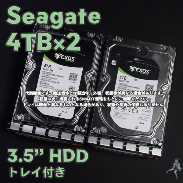 【SG4T-B2/B3(t)】Seagate Exos 3.5インチHDD 4TB ST4000NM0035【2台セット/動作中古品/送料込み】