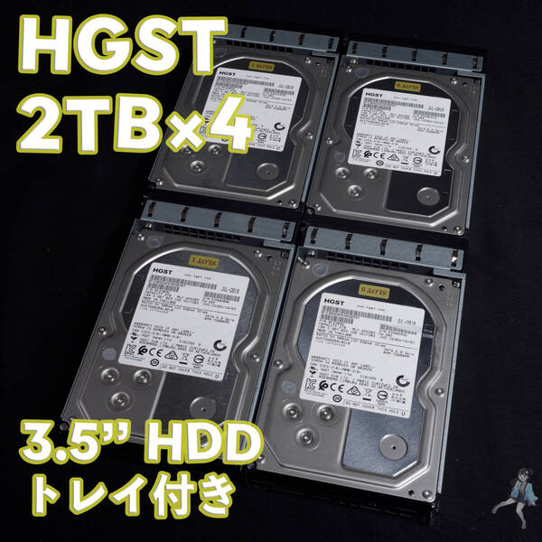 【HG2T-K1~K4(t)】HGST 3.5インチHDD 2TB HUS726020ALA610 トレイ(SASアダプター)付き【4台セット/動作中古品/送料込み】
