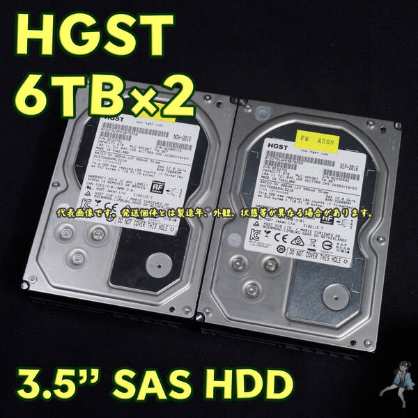 【HG6Tsas-c1/c2】HGST 3.5インチHDD(SAS) 6TB HUS726060AL5210 SAS接続【2台セット/動作中古品/送料込み】