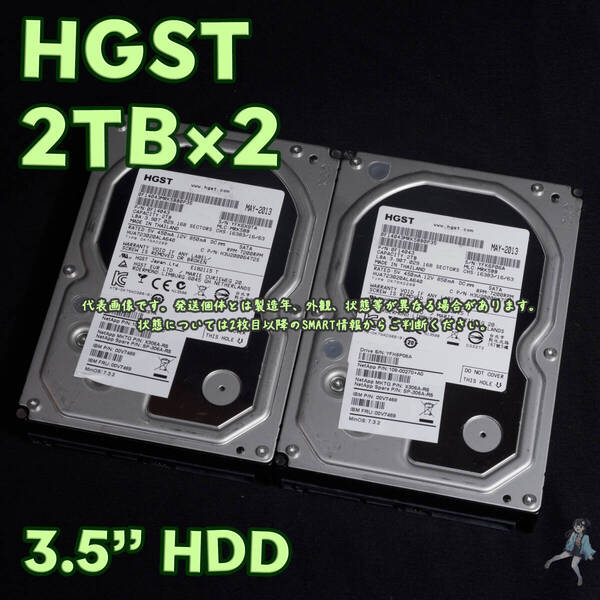【HG2T-J5/J6】HGST 3.5インチHDD 2TB HUA723020ALA640【2台セット/動作中古品/送料込み】