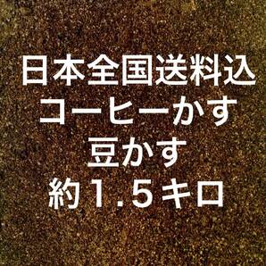 コーヒーかす 約1.5KG コーヒーカス 約 1.5キロ Coffee でがらし 出涸らし 豆かす 乾燥 豆カス まめかす 1KG 1キロ P