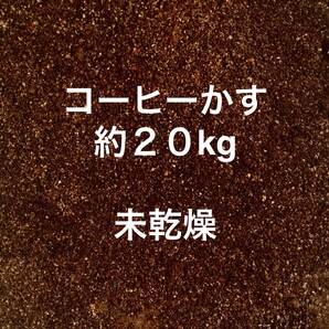 ☆☆全国送料込み☆☆ 未乾燥 コーヒーかす 豆かす コーヒーカス 約20KG 20キロ