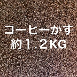 コーヒーかす 約1.2KG コーヒーカス 約 1.2キロ Coffee でがらし 出涸らし 1KG 1キロ