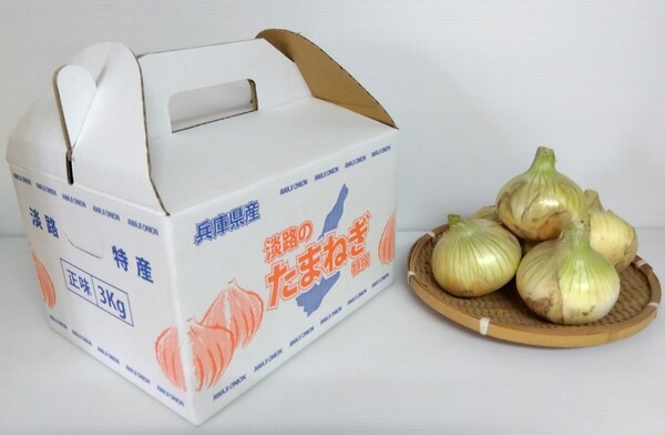南あわじ産、新玉ねぎ、約3キロ、白い箱が可愛い、サイズミックス、甘みが強い玉ねぎ、健康の為に、離乳食・お土産にもオススメです!!