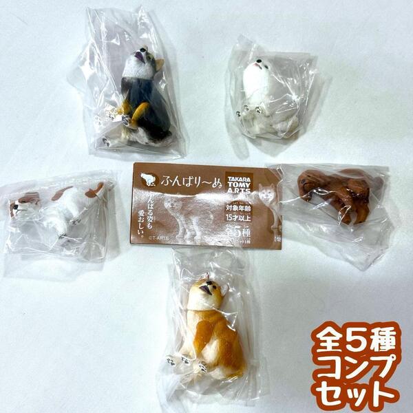 ガチャガチャ ふんばり~ぬ 5種セット 犬 イヌ いぬ ふんばりーぬ フィギュア【mini】