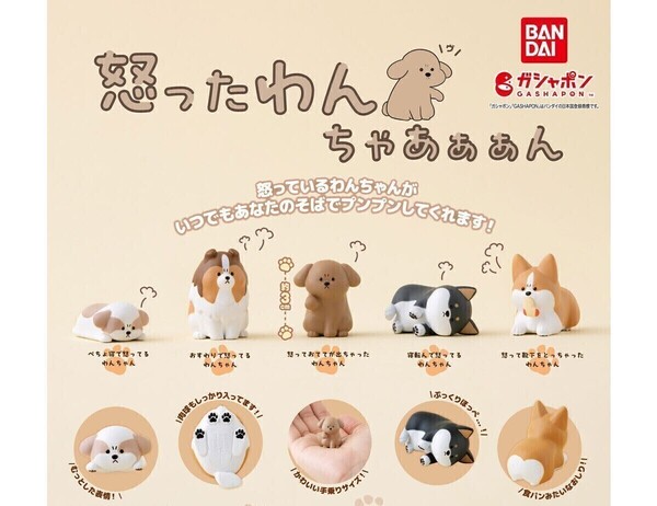 【A-2】ガチャガチャ 怒ったわんちゃあぁぁん 全5種セット いぬ イヌ 犬 わんこ フィギュア【mini】