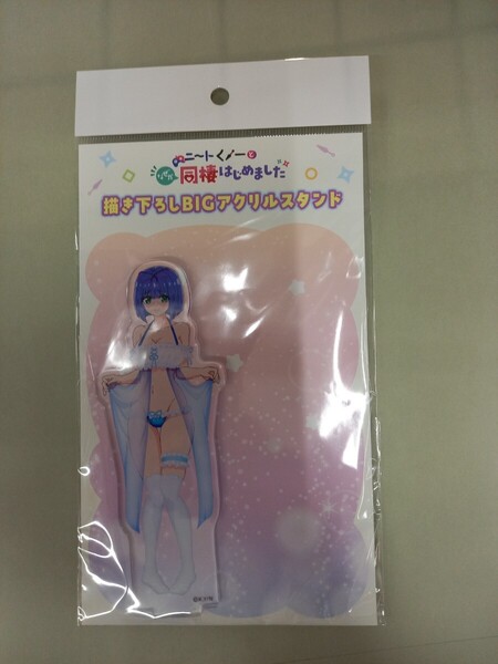 和泉緋那 BIGアクリルスタンド ニートくノ一となぜか同棲はじめました アクスタ アクリルフィギュア