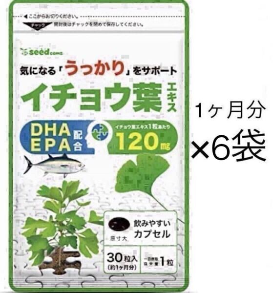 ★送料無料★イチョウ葉エキス 約6ヶ月分(2027.5~)(1ヶ月分30粒×6袋) シードコムス サプリメント DHA EPA配合 フラボノイド テルペノイド