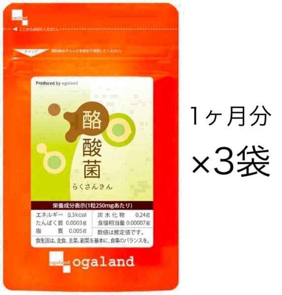 ★送料無料★酪酸菌 約3ヶ月分(1ヶ月分30粒入り×3袋)腸内フローラ オーガランド サプリメント