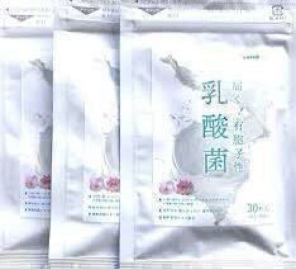 ★送料無料★有胞子性乳酸菌 約3ヶ月分(1ヶ月分30粒×3袋)サプリメント シードコムス ラクリス菌 植物発酵エキス 腸活 免疫力