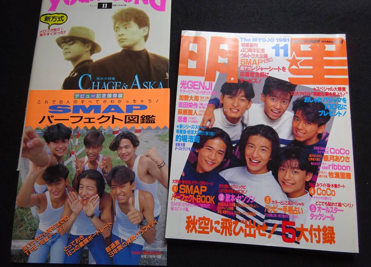 お値下げしました！】SMAPデビュー記念保存版 パーフェクト図鑑