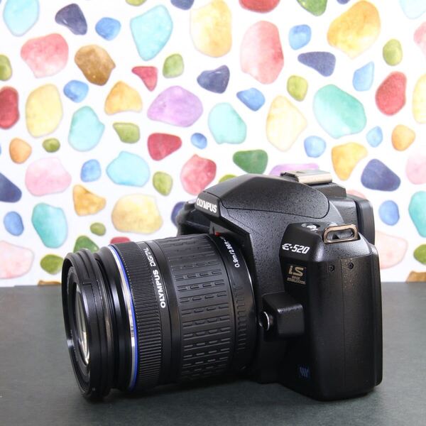 ◇OLYMPUS E-520 ◇おすすめ一眼レフ♪ ◇美品