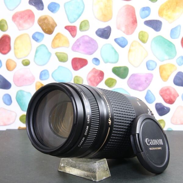【N】◇やっぱり純正レンズ♪ ◇Canon 75-300mm USM ◇望遠♪