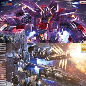 HG サイコガンダム mk2 & MG ガンダムヴィダール 2点セット