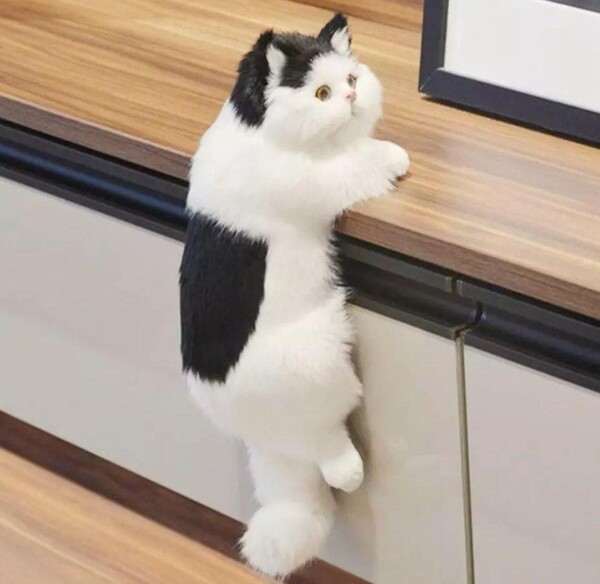 ぶら下がり猫 白黒猫 リアル仔猫 猫の置物 猫のぬいぐるみ 猫の雑貨 HANAKO