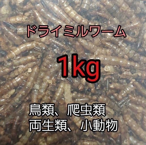乾燥ミルワーム1kg 鳥類 小動物 爬虫類 両生類 鶏 インコ オウム 文鳥 ハムスター ハリネズミ