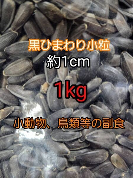 黒ひまわりの種 小粒 約1cm 1kg ひまわりの種 鳥の餌 小動物の餌 インコ ハムスター