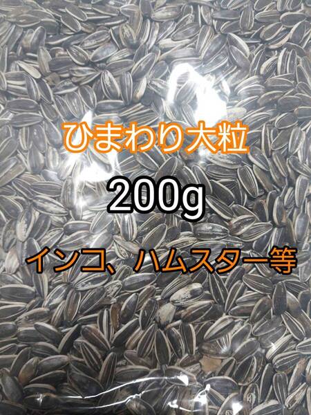 ひまわりの種 大粒 200g ひまわりの種 鳥の餌 小動物の餌 オウム インコ ハムスター