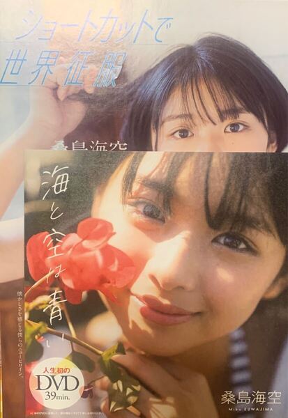 桑原海空/週刊プレイボーイ付録DVD+ポスター+切り抜き26ページ