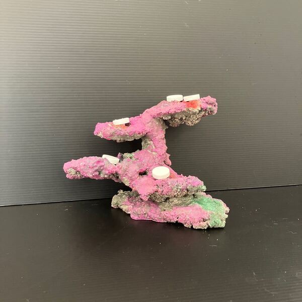 【現物】ライブロック(フラグ加工) No.5(海水魚、サンゴ、バクテリア、背景、レイアウト、水槽)