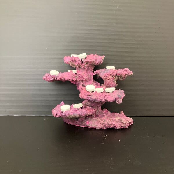 【現物】ライブロック(フラグ加工) No.6(海水魚、サンゴ、バクテリア、背景、レイアウト、水槽)